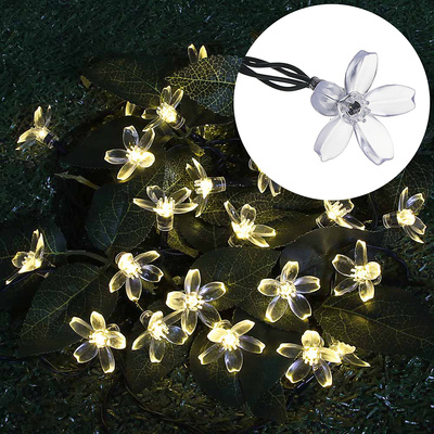  7, 25., , ,  , INBLOOM, 